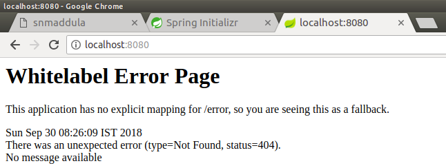 spring app initial run -- white label error page